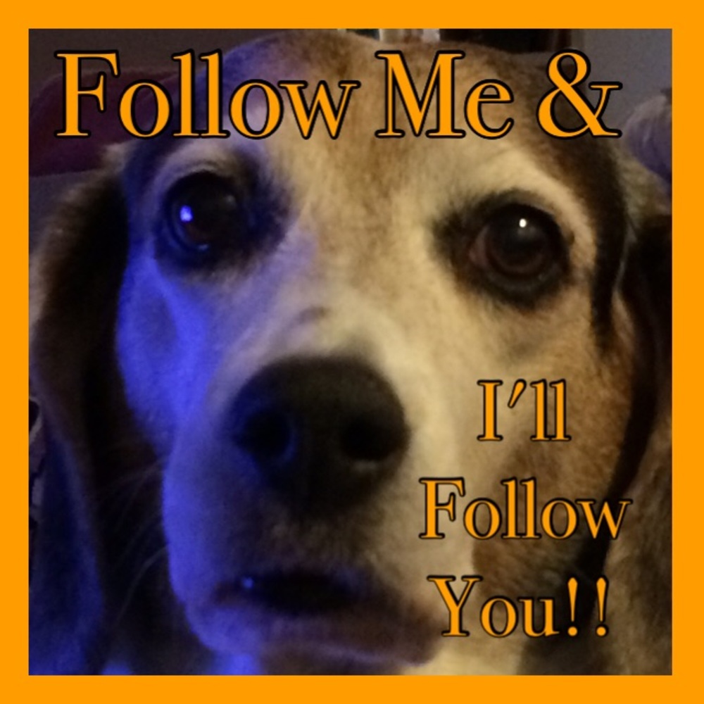 MAIZEY’S FOLLOW GAME! (NO PRODUCT QUESTIONS/INFO) - Picture 1 of 5